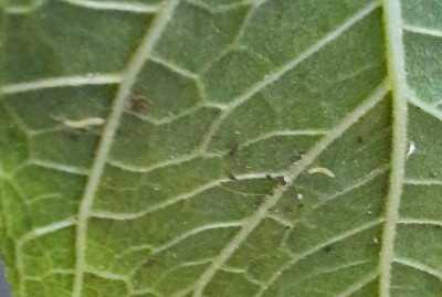 suchbild2.jpg