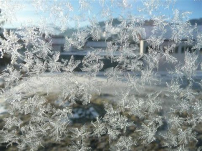 Eisblumen_2007.JPG