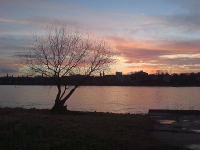 bonn_am_rhein-spaziergang1.jpg
