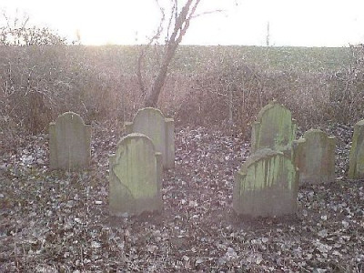 friedhof_am_rhein.jpg