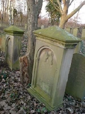 friedhof_am_rhein2.jpg