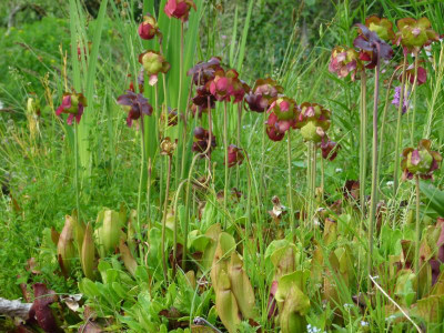 P1200105.JPG