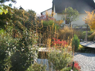comp_207_0792.jpg