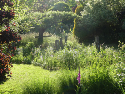2021-06-12 Gartenimpressionen 2.jpg