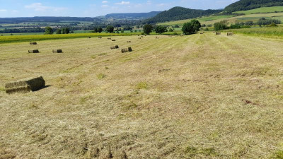 IMG-20210613-WA0008.jpeg