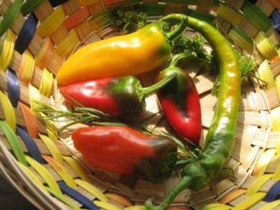 07paprika_mix.jpg