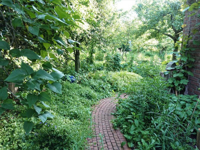 DSC_3146.JPG