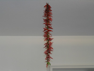 chilikette2006.jpg