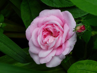 Ispahan 2021-06-15.JPG