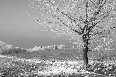 Winterlandschaft-SW-5.jpg