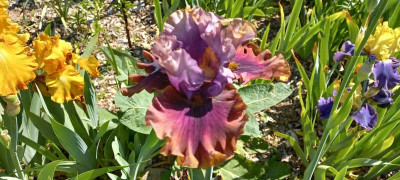 20210617_103402.jpg