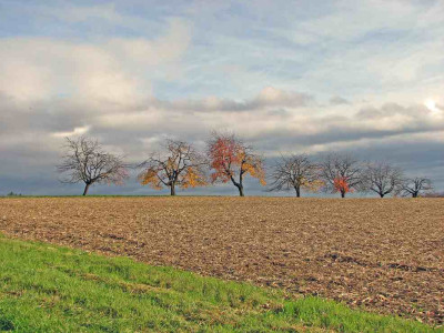 BAUME_II_231106.jpg