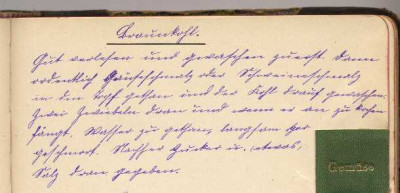 Braun-_bzw_Grunkohl_vor_1900.jpg