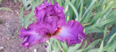 20210617_201049.jpg