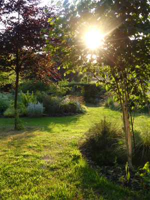 2021-06-17 Gartenimpressionen 1.jpg