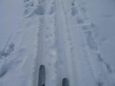 spurimschnee.jpg