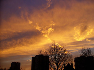 20080113.jpg