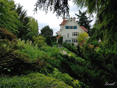 Foerstergarten20210615_153409.jpg