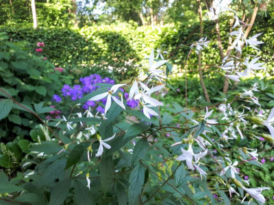 20210618_090027.jpg