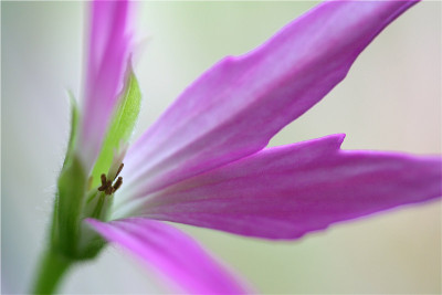 Farbe-3.jpg