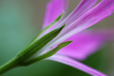 Farbe-4.jpg