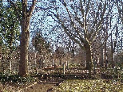 sog_alter_judenfriedhof_beuel_2.jpg