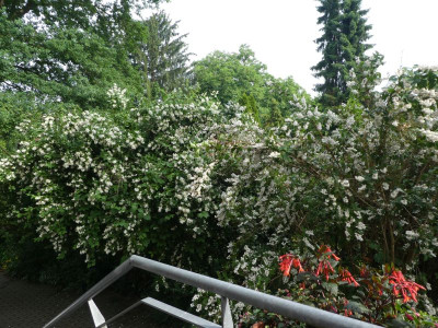 P1120298 k.jpg