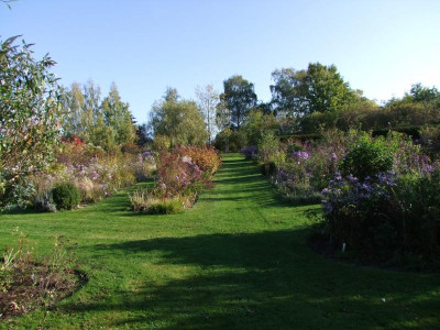 DSCF1080.JPG