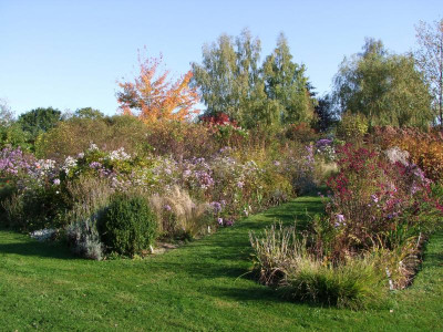 DSCF1081.JPG