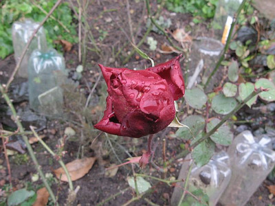 11.01.08.jpg