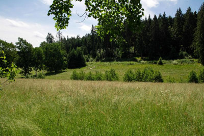 wohlkopfswiesen21.jpg