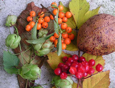 Stilleben_Beeren.jpg