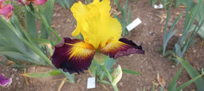 20210621_090729.jpg