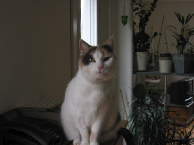 Sheila__Januar_08.jpg
