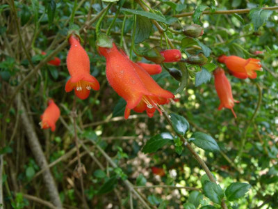 P1200135.JPG