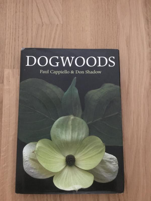 Dogwoods.jpg