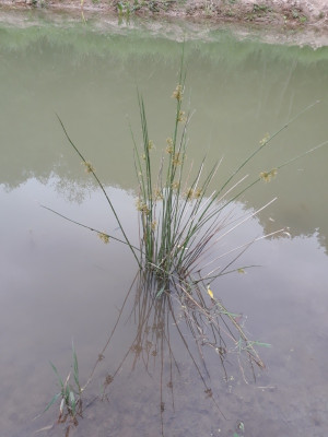 rps20210623_190705.jpg