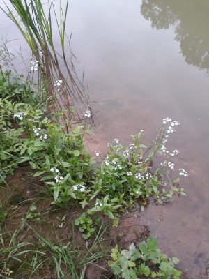 rps20210623_190651.jpg