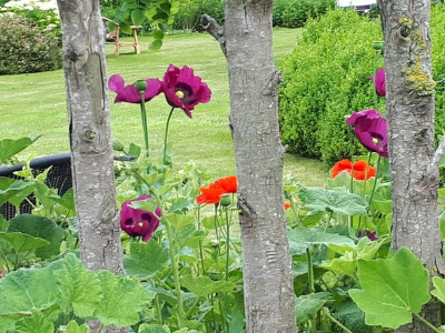 20190621_125826.jpg