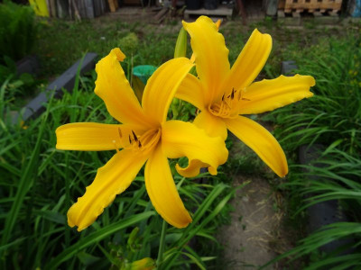 DSC05292.JPG