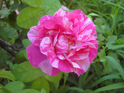 PICT3425.JPG