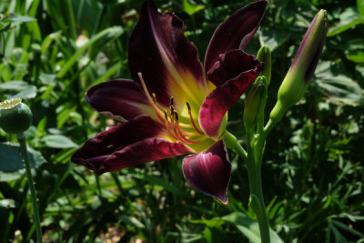 DSCF4756_5589.JPG