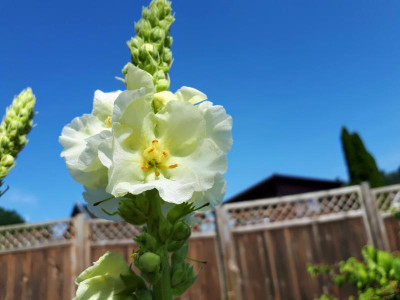 20210626_105036.jpg