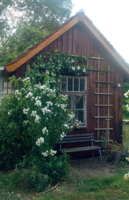 2021-06-27 Gartenhaus 7.jpg