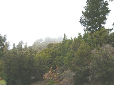 Gomera_2.jpg