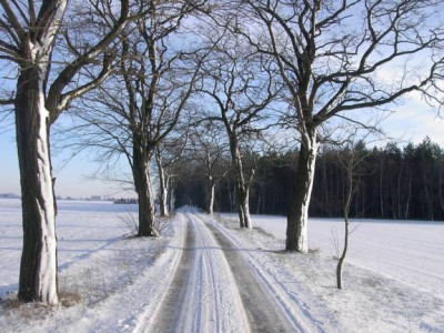 winter01.jpg