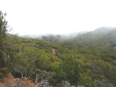 Gomera_4.jpg