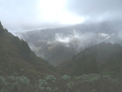 Gomera_13.jpg