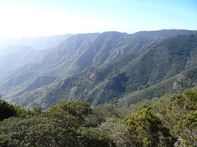 Gomera_18.jpg