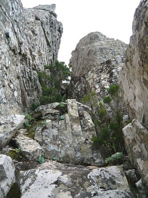 Gomera_22.jpg